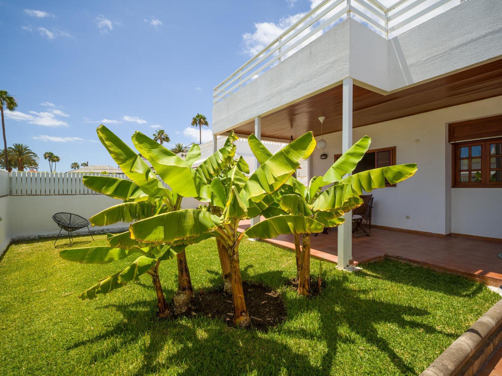Banana House In Top Location By Tenpropertiesgc ماسبالوماس المظهر الخارجي الصورة